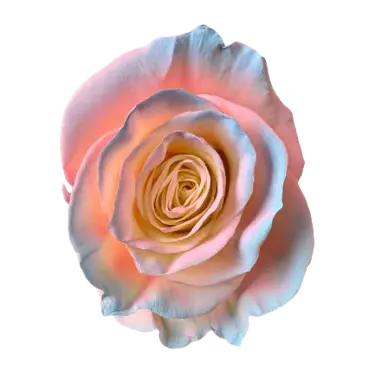 M. Sky Pink